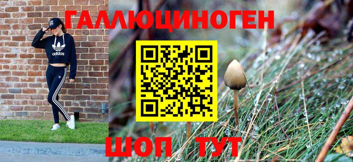 Псилоцибиновые грибы GOLDEN TEACHER  Вход с VPN  Избербаш 